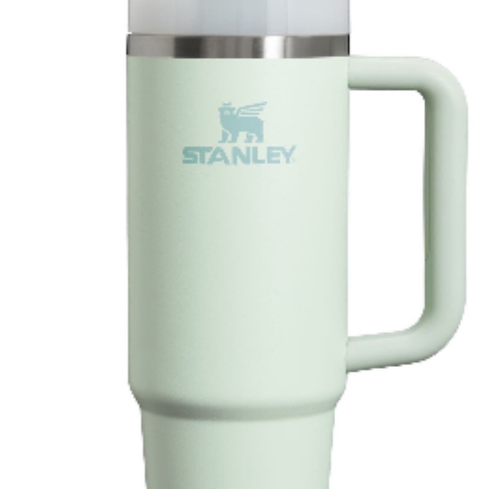 Stanley Pastel Green Insulated Mug